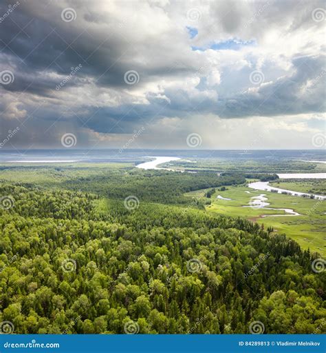 Forest Plain With River Stock Image Image Of Plain Tranquil 84289813