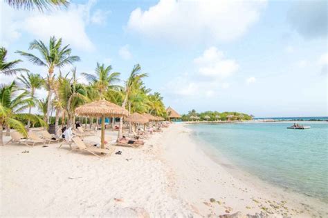 How To Visit Flamingo Beach Aruba Day Passes Cost And Tips For Your Trip