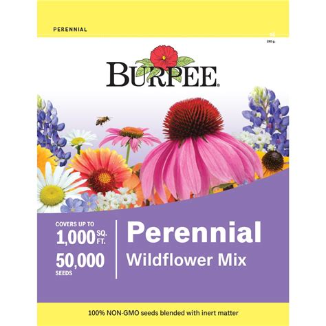 Burpee Perennial Wildflower Seeds Mix Non Gmo Attracts Pollinators