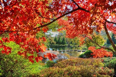 Virginia Fall Foliage Guide 2019 Richmond Mom
