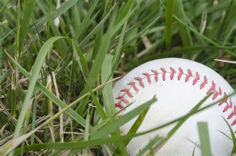 Baseball In Grass Stock Image Image Of Summer Comeptition 99364379