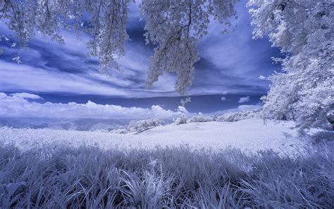 Download Snow Landscape Nature Winter Hd Wallpaper