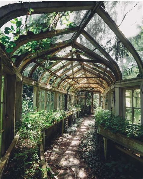 Abandoned Greenhouse Hallway Tag A Friend Who Would Visit Photo