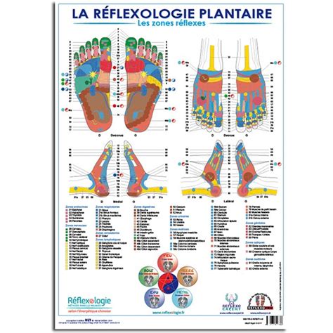 Carte Du Pied Reflexologie Plantaire Info ≡ Voyage Carte Plan