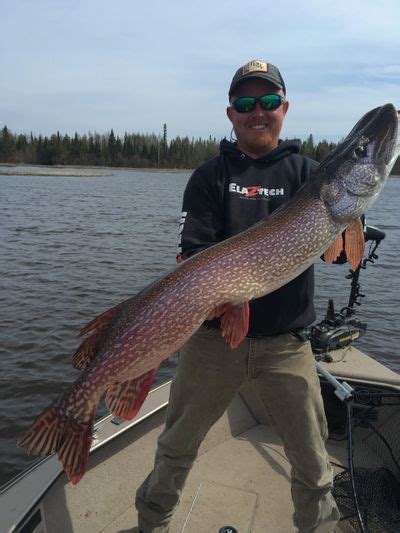 Lake Superior Pike Big Fish Ontario