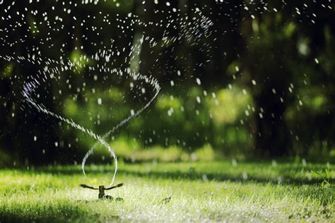A plastic or galvanized watering can with a detachable rose sprinkler head. Are You Making These 5 Lawn Watering Mistakes? | RISMedia's Housecall