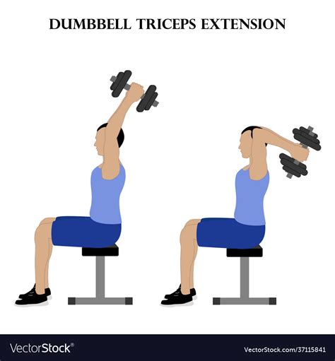 Dumbbell Triceps Extension Exercise Strength Vector Image