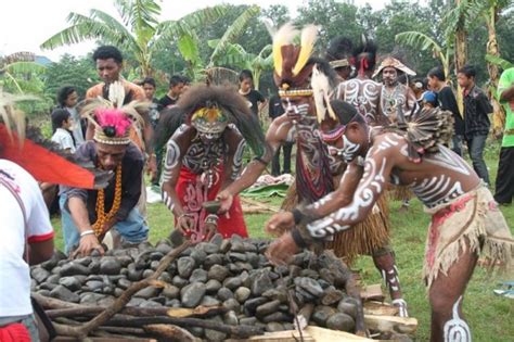 7 Upacara Adat Papua Dan Penjelasannya