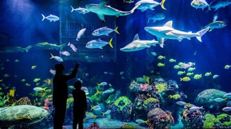 Usa Today 10best Reveals Top Zoos Aquariums And Gardens Of 2023