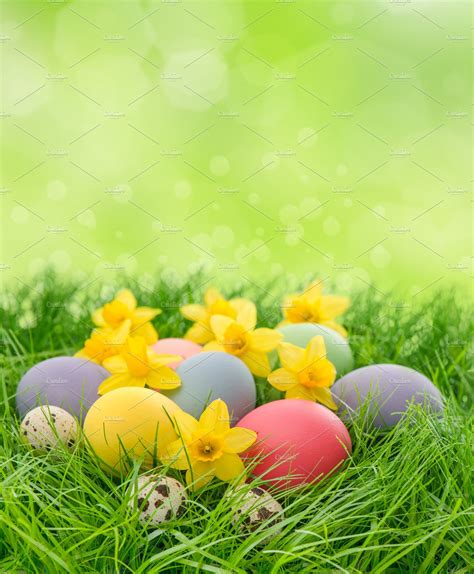 Easter Eggs And Daffodils Flowers ~ Holiday Photos