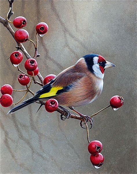 1000 Images About Birds On Pinterest Birds Painting Bird Art