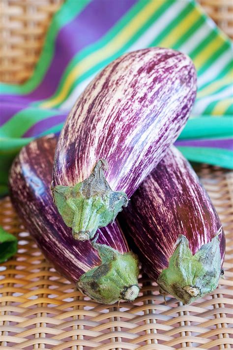 Aubergine Eggplant Tsakoniki White Purple Variety 110 Seeds