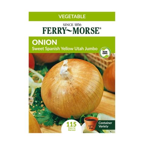Ferry Morse 65mg Onion Sweet Spanish Yellow Utah Jumbo Vegetable Plant