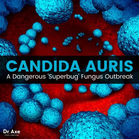 Candida Auris Deadly Fungus Infects Us Healthcare Facilities Dr Axe