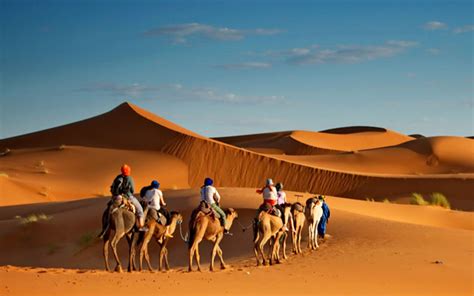 All About The Arabian Desert Geography Climate And More Mybayut