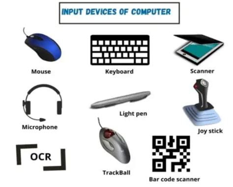 What Are The 10 Input Devices Of Computer Examples