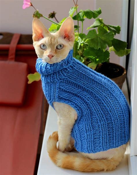 Hand Knitted Cat Small Dog Sweater Jumper Jacket Blue Pet Etsy