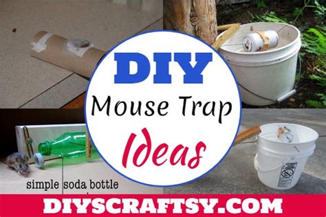 Best Homemade Mouse Trap Ideas That Really Work Homemade OFF