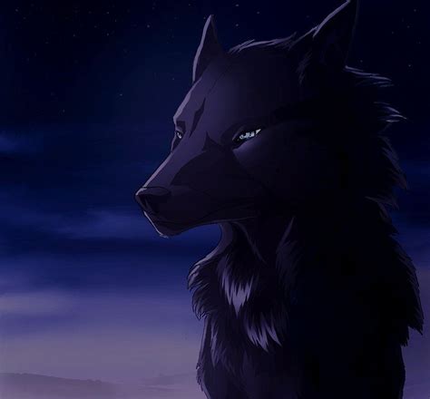 Black Wolf Black Wolf Cartoon Wolf Anime Wolf
