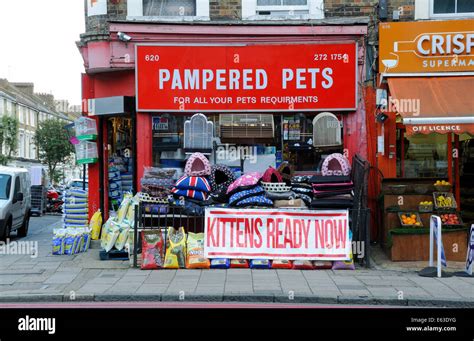 Pet Shop England Uk Hi Res Stock Photography And Images Alamy