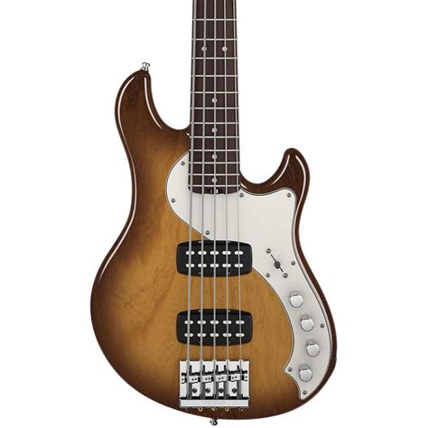 Fender American Deluxe Dimension Bass V 5 String Hh Electric Bass