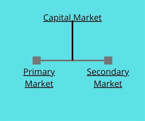 Explain Different Types Of Capital Markets Madalyn Has Kaufman