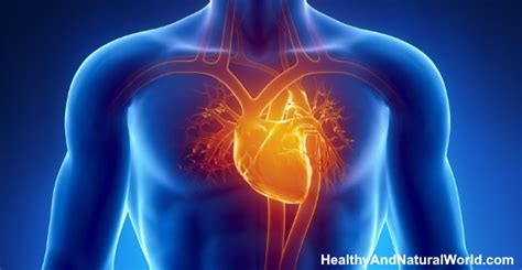 Where is the human heart located in your body. What Side Is Your Heart On?