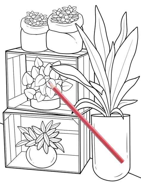 Houseplant Coloring Book House Plant Gift Plant Lover Plant | Etsy
