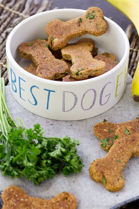 Homemade Veg Dog Treats Recipe 8 Awesome Easy To Make Homemade Dog