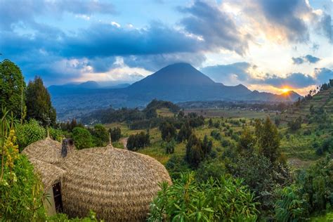 Mountain Hiking In Volcanoes National Park Rwanda East To West Safaris