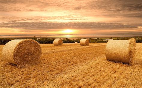 Hay Field Wallpapers Top Free Hay Field Backgrounds Wallpaperaccess