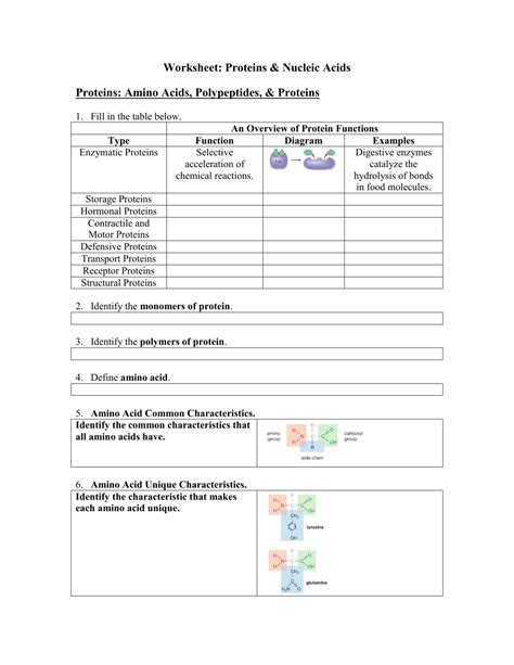Https://tommynaija.com/worksheet/amino Acids And Polypeptides Worksheet Answers