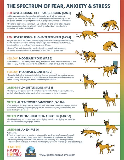 Dog Behavior Behavior And Understanding Your Pet Resources Ramapo