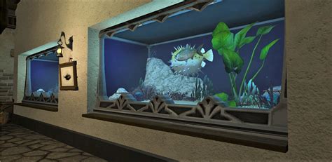 The Making Of The Eorzean Aquarium A Full Scale Ffxiv Fish Exhibit