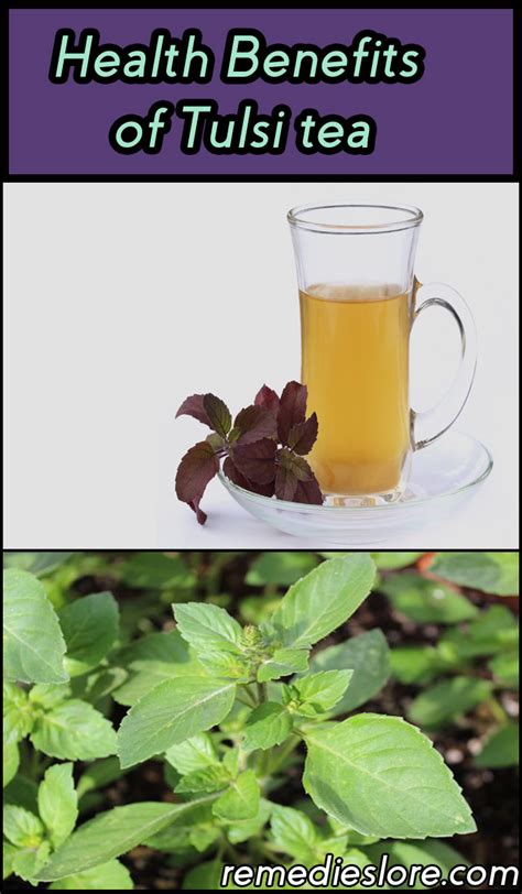 10 Awesome Health Benefits Of Tulsi Tea Remedies Lore