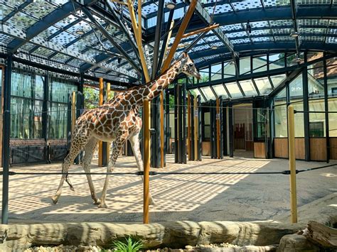 Der Zoo In Wien Wird Tiergarten Schönbrunn Genannt