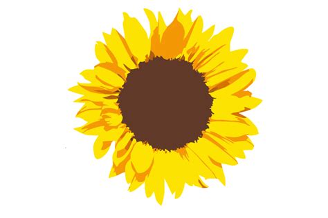Sunflower Clipart Ubicaciondepersonas Cdmx Gob Mx