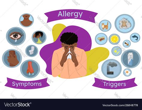 Allergy Infographics Symptoms And Triggers Vector Image