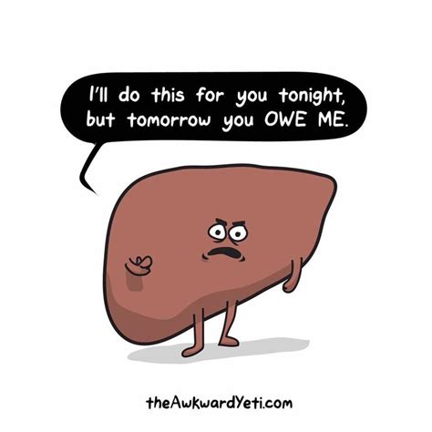 Thanks Liver Youre Always There When I Need You Awkward Yeti Heart