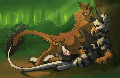 Rule 34 2012 Avian Balls Female Feral Forest Gryphon Hoot Knot Male
