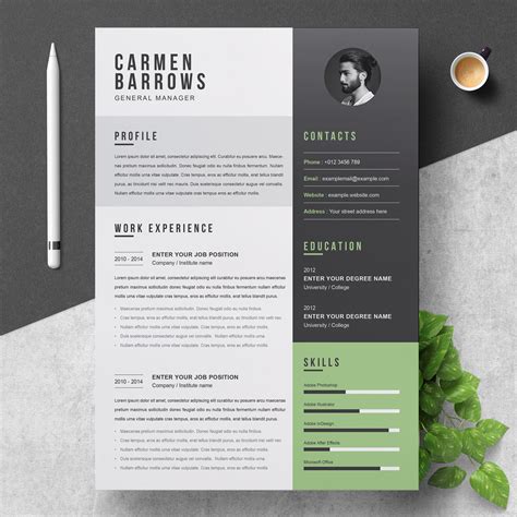 Professional Resume Cv Template Resume Templates Creative Market