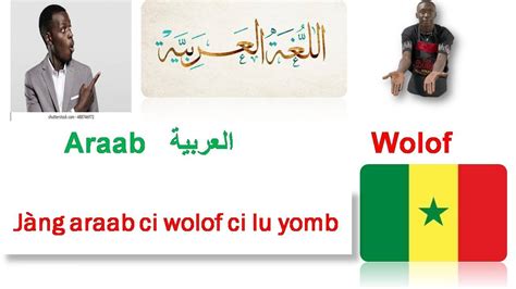 Jàng Araabwolof Arabic Wolof Lesson 4 Expressions You Need To