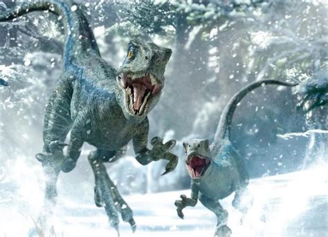 Velociraptor Blue And Beta Jurassic Park Jurassic World Raptors Jurassic World Jurassic