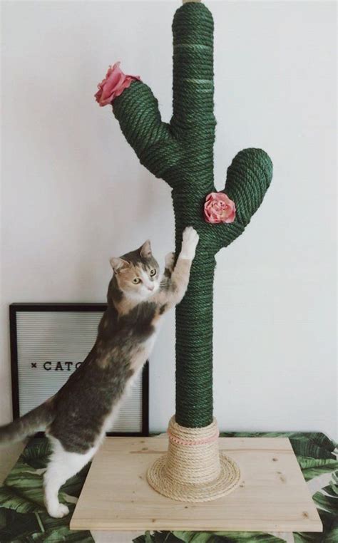 1460 x 1947 jpeg 154 кб. CACTUS for CATS | CATCUS | Scratching Post | Cat Tree ...