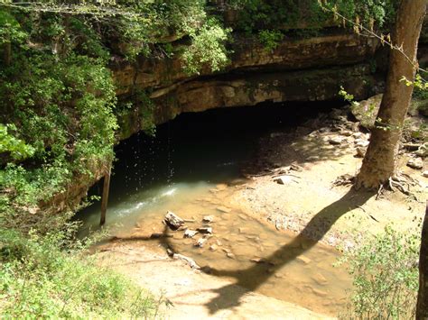 3 Best Day Hikes In Mammoth Cave National Park Trailhead Traveler