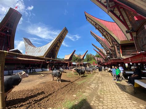 Local Guides Tana Toraja All You Need To Know Before You Go