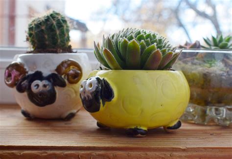Set Of 3 Small Planters Handmade Ceramic Flowerpot Sheep Etsy