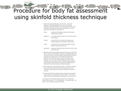 Ppt Chapter 4 Body Composition Powerpoint Presentation Free Download
