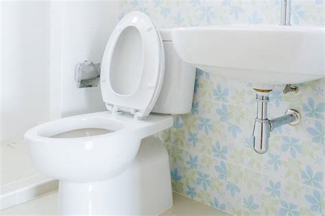 Upflush Toilet Reviews Saniflo And Intelflo Head To Head