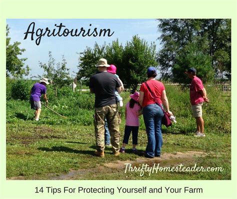 Agritourism 14 Tips To Protect Yourself And Your Farm